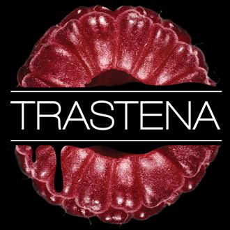 Лого на Trastena